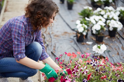 Professional planting services in Barbican for urban garden design