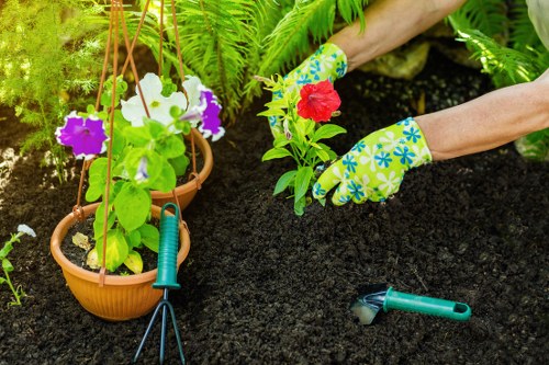 Landscapers Barbican creating a refined outdoor space