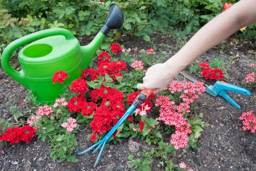 Soil preparation and lawn improvement work in Barbican