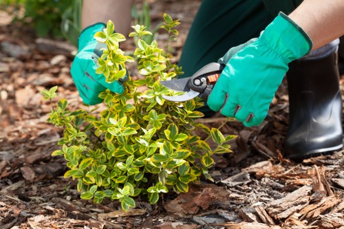 Public liability insurance supporting professional landscaping work in Barbican