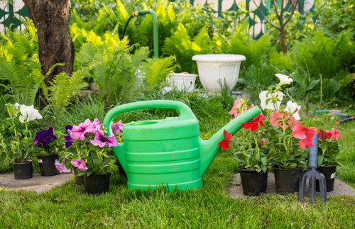 Barbican planting services adapting plants to shaded city spaces