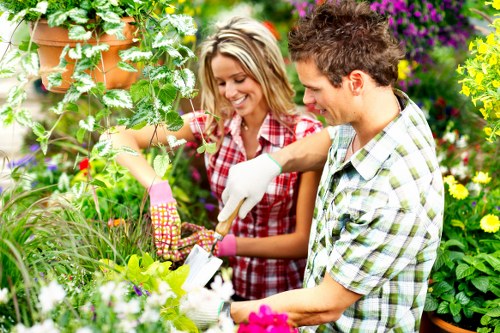Watering a healthy urban lawn in Barbican