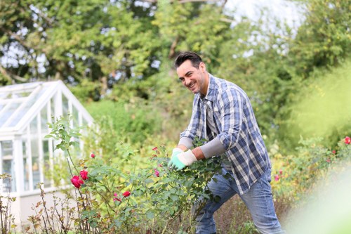 Close-up of precise hedge cutting for healthy growth
