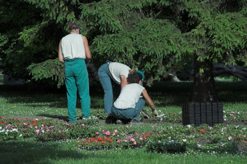 Image representing essential and analytics cookies on a landscaping website