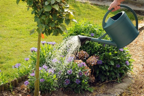 Autumn and winter garden care in Barbican