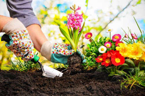 Seasonal planting and pruning in a Barbican garden