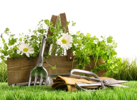 Reusable green waste and materials prepared for recycling