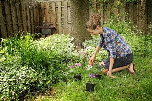 Local planting services in Barbican creating attractive green spaces