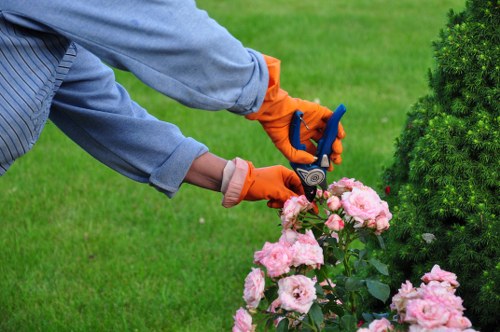 Icon showing screen-reader friendly web content for Barbican landscaping