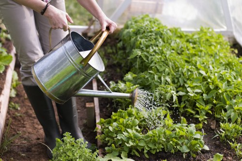 Experienced Barbican landscapers planning an outdoor transformation